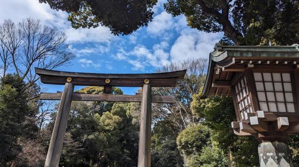 明治神宮 第一鳥居 灯篭 明治神宮,神社仏閣,パワースポットの写真素材