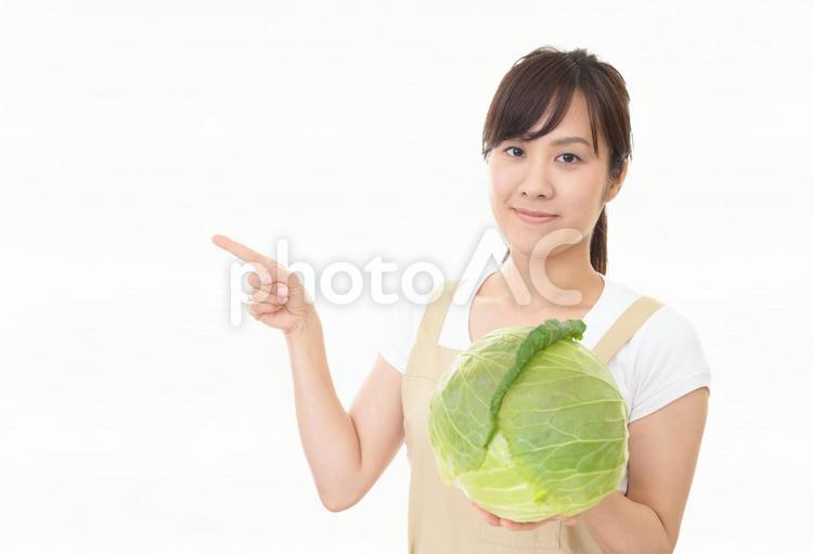 野菜を持つ笑顔の女性 女性,女,キャベツの写真素材
