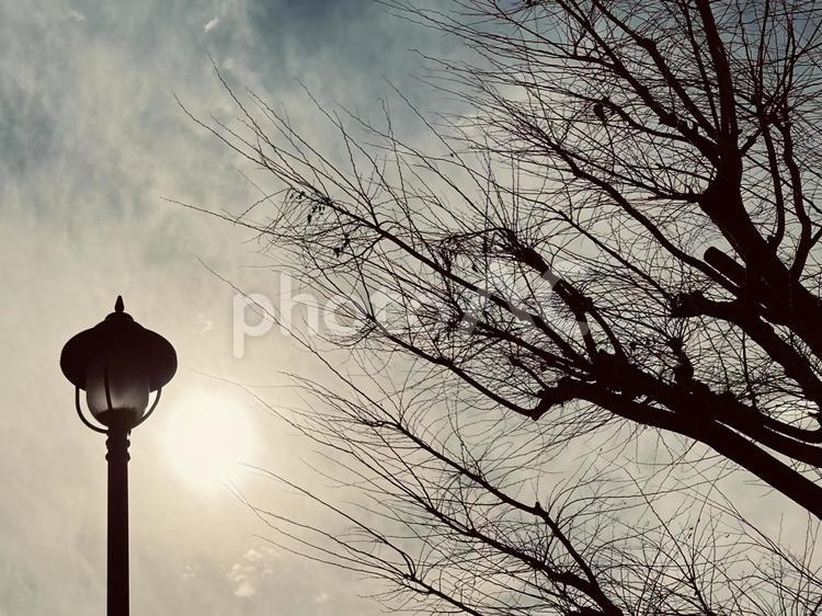 冬の空模様 冬,空,模様の写真素材