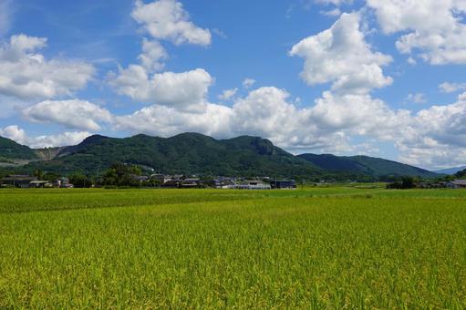 蒲生山と田んぼ 蒲生山と田んぼ 不動岩,市指定名勝,山鹿市の写真素材
