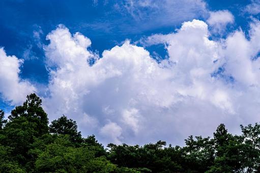 夏の入道雲と森林 夏の入道雲と森林 青空,真夏,入道雲の写真素材