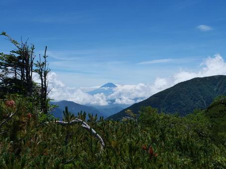 富士山 小太郎尾根 富士山 小太郎尾根の写真