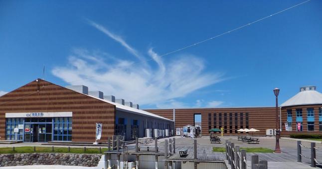 ＜千葉県＞道の駅ちくら潮風王国 道の駅,ちくら潮風王国,芝生の写真素材
