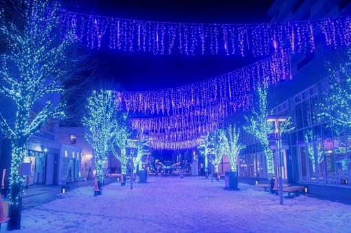 イルミネーション（買物公園 - 旭川市） イルミネーション,夜景,ライトアップの写真素材