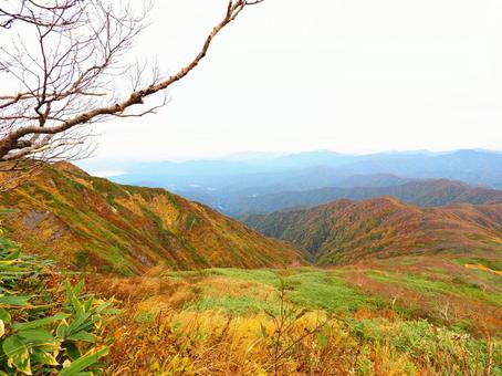 紅葉(越後三山・越後駒ヶ岳) 紅葉(越後三山・越後駒ヶ岳)の写真