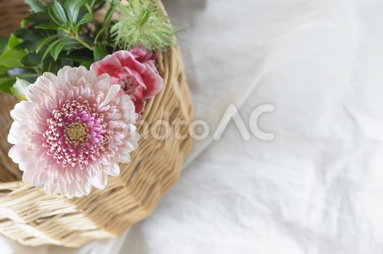 籠の中のお花 花,カーネーション,ガーベラの写真素材