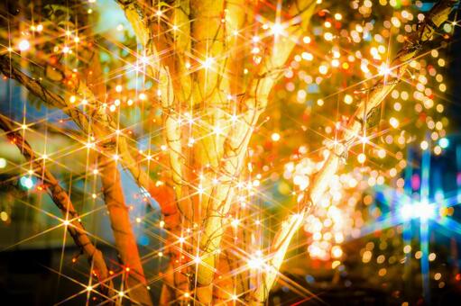 黄金色に輝く樹木 イルミネーション,木,黄金色の写真素材