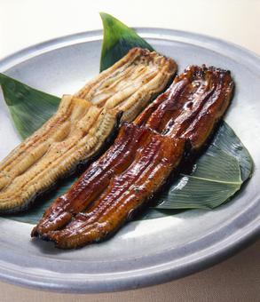 うなぎの蒲焼き うなぎの蒲焼き 鰻,蒲焼き,白焼きの写真素材