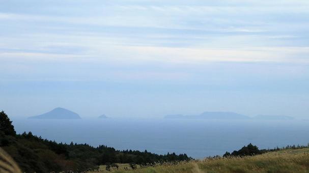稲取細野高原のすすき野原　11 稲取細野高原,秋,相模湾の写真素材
