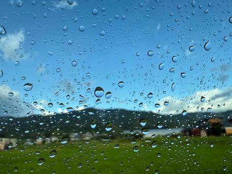 雨上がりの景色 雨上がりの景色 雨上がり,雨,雨粒の写真素材