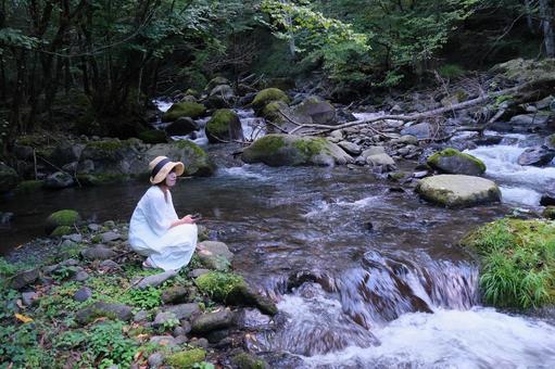 森林浴 森林浴,森,ネイチャーの写真素材