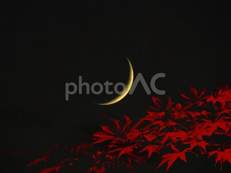 三日月と紅葉　合成イメージ 三日月,月,秋の写真素材