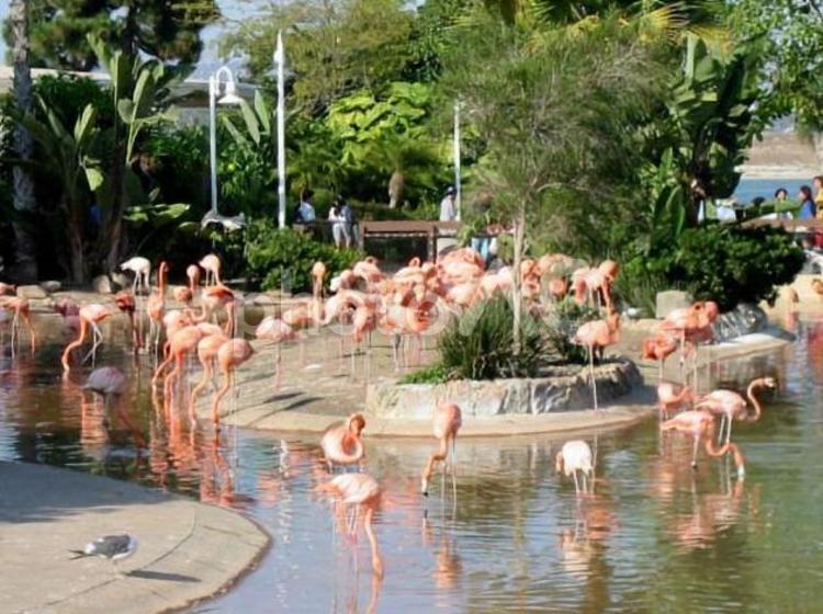 サンディエゴの風景 サンディエゴ,カリフォルニア,アメリカの写真素材