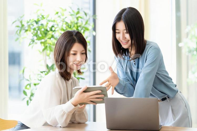 ミーティングをする2人のビジネスウーマン 女性,人物,ビジネスの写真素材