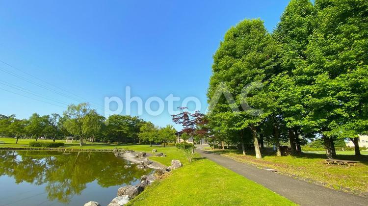 朝の北部公園（金沢市）：23 公園,春,夏の写真素材
