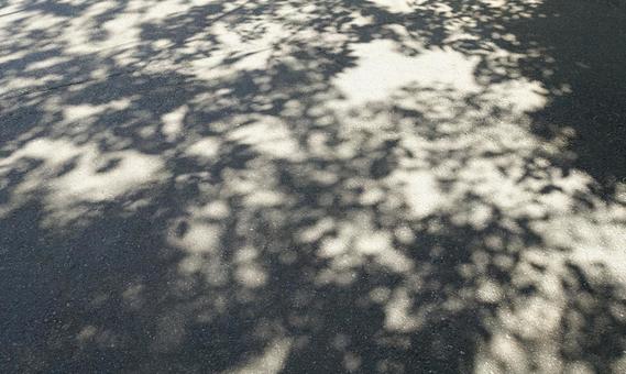 Shadows of sunlight filtering through the trees, silhouettes of leaves, JPG