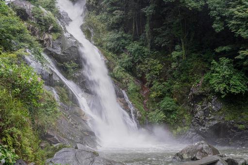 佐賀-【見返りの滝とあじさい】 佐賀,唐津市,見返りの滝の写真素材