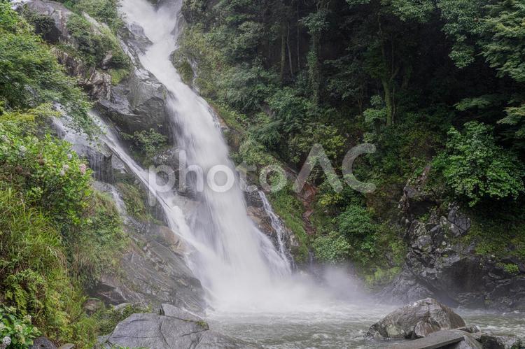 佐賀-【見返りの滝とあじさい】 佐賀,唐津市,見返りの滝の写真素材