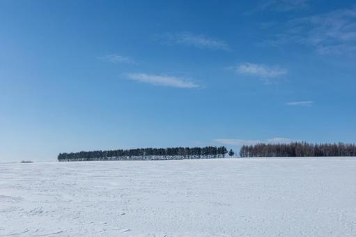 Photo, blue sky, snowy, field, 