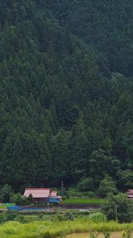 原風景!山間農村の初夏の田んぼ 原風景!山間農村の初夏の田んぼ 田んぼ,田舎,原風景の写真素材