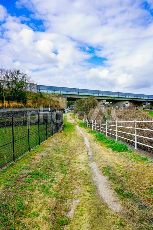 河川敷の風景 風景,河川敷,自然の写真素材