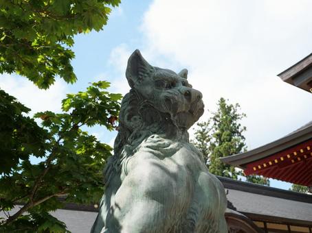 武蔵御嶽神社 狛犬 武蔵御嶽神社 狛犬 武蔵御嶽神社,御嶽神社,神社の写真素材