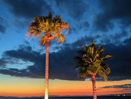 黄昏の海3 シルエット,夕日,夕暮れの写真素材