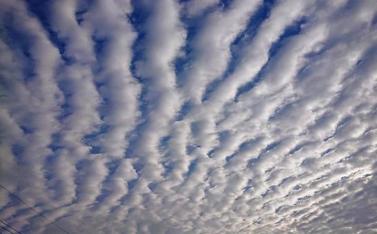 空一面波打つ雲の写真