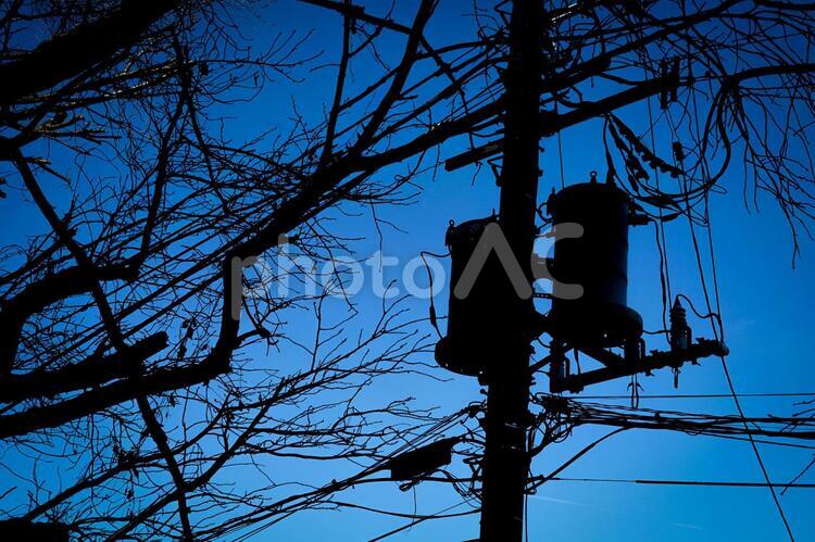 電線と電柱２ design,illustration,silhouetteの写真素材