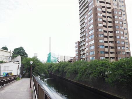 目黒川桜並木(東京都・目黒区) 目黒川桜並木(東京都・目黒区)の写真