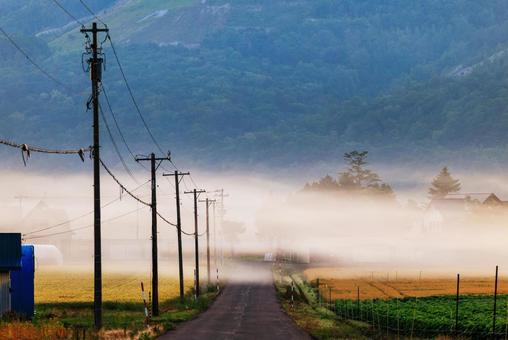 朝霧 朝霧 朝霧,霧,早朝の写真素材
