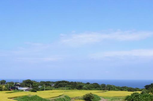 海が見える棚田の風景　コピースペースあり 棚田,風景,景色の写真素材