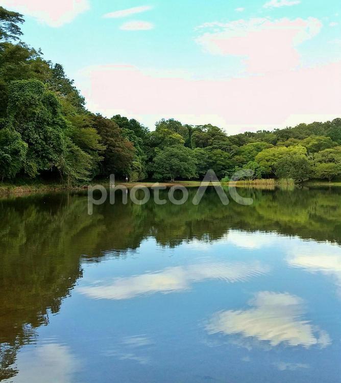 さざ波の湖面に写る秋の空の水鏡 一碧湖,初秋,伊豆の瞳の写真素材