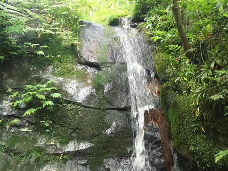 初夏の滝 初夏の滝の写真