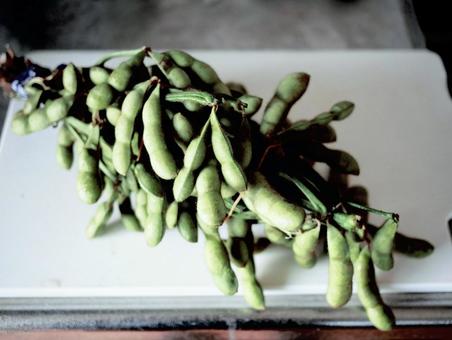 調理前の枝豆 調理前の枝豆 枝豆,野菜,和食の写真素材