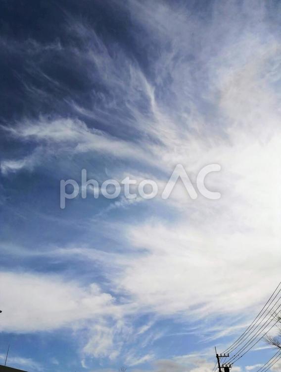 風の強い晴れの日 空,雲,青空の写真素材