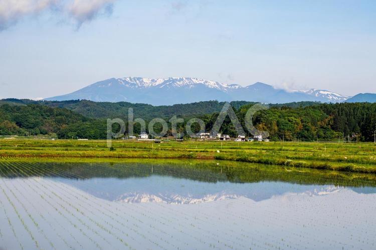 水田のリフレクション⒀ 水田,春,田植えの写真素材