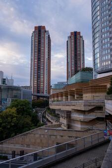 六本木ヒルズ　2025年11月 六本木ヒルズ,朝,東京の写真素材