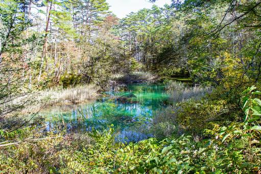 五色沼湖沼群 赤沼 五色沼湖沼群 赤沼 五色沼,湖沼群,秋の写真素材