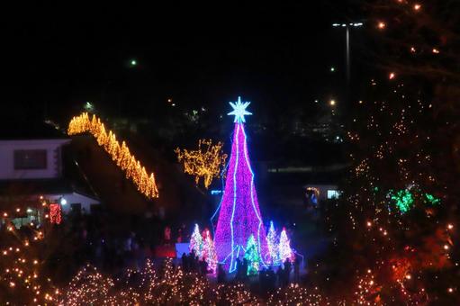 イルミネーション イルミネーション,灯り,広島県の写真素材
