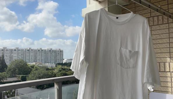 青空の下で白いTシャツが風に揺れる午後 青空の下で白いTシャツが風に揺れる午後 白いtシャツ,洗濯,青空の写真素材