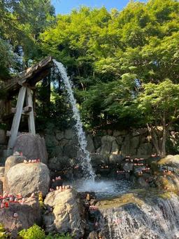 勝尾寺 勝尾寺の写真