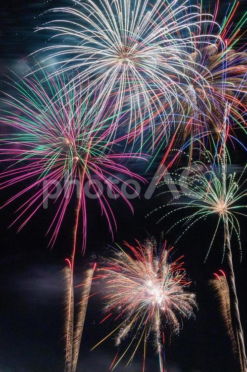 夜空に咲く色とりどりのスターマイン 花火,打ち上げ花火,花火大会の写真素材