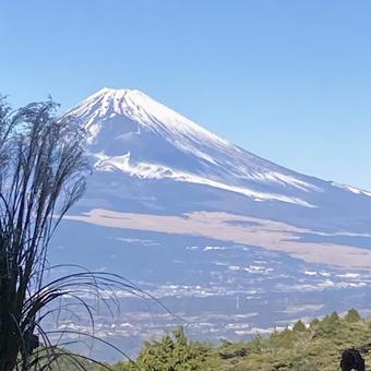 Japanese silver grass and Mt. Fuji, JPG Japanese silver grass and Mt. Fuji, JPG