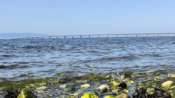 潮風 潮風 海,日差し,波の写真素材