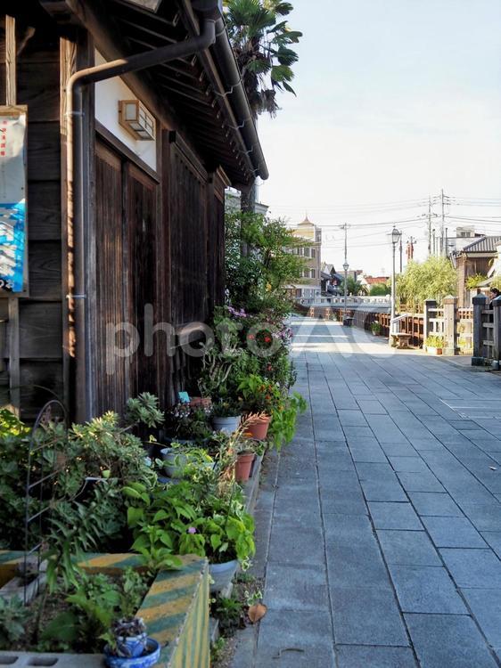 小江戸佐原・川沿いのレトロな風景・香取市 佐原,小江戸,小野川の写真素材