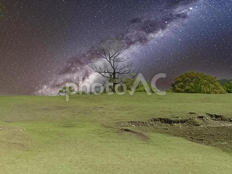 一本の木立と天の川銀河 銀河,木,宇宙の写真素材