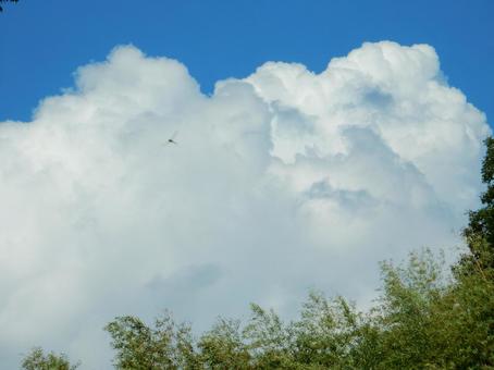 【風景写真】秋空 【風景写真】秋空の写真