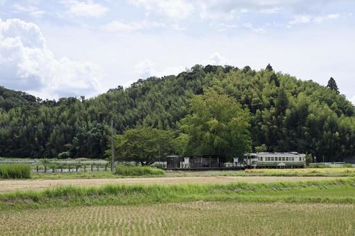 鉄道風景 秋,木,山の写真素材