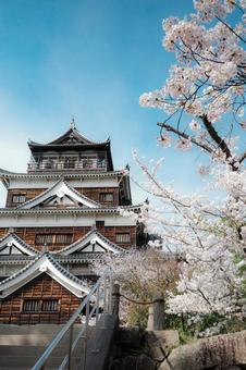 桜 桜,広島城,春の写真素材